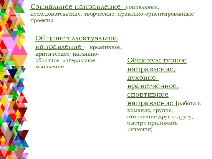 Социальное направление- социальные, исследовательские, творческие, практико-ориентированные проекты Общеинтеллектуальное направление – креативное,