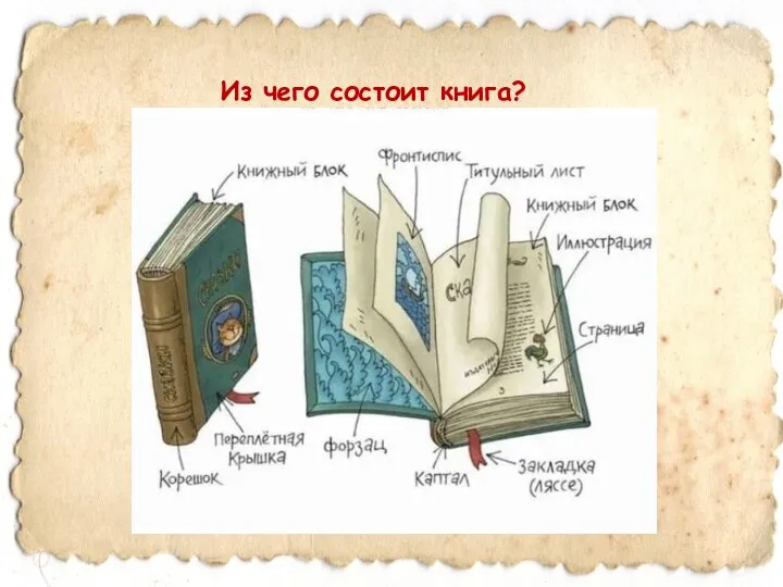 Из чего состоит книга?