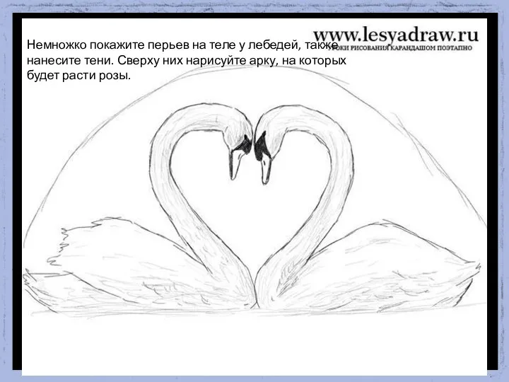 Немножко покажите перьев на теле у лебедей, также нанесите тени. Сверху