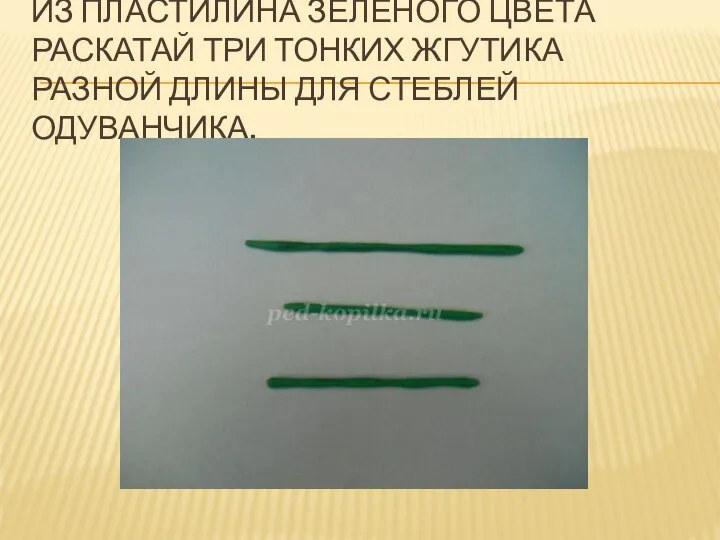 ИЗ ПЛАСТИЛИНА ЗЕЛЁНОГО ЦВЕТА РАСКАТАЙ ТРИ ТОНКИХ ЖГУТИКА РАЗНОЙ ДЛИНЫ ДЛЯ СТЕБЛЕЙ ОДУВАНЧИКА.