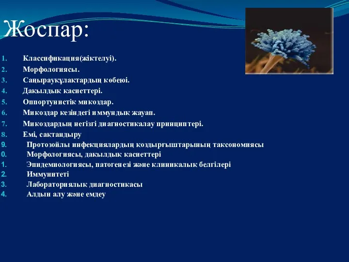 Жоспар: Классификация(жіктелуі). Морфологиясы. Саңырауқұлақтардың көбеюі. Дақылдық қасиеттері. Оппортунистік микоздар. Микоздар кезіндегі