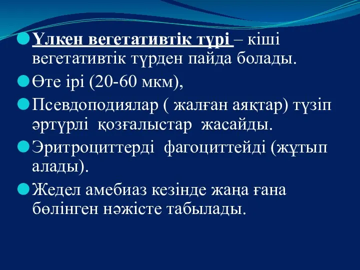 Үлкен вегетативтік түрі – кіші вегетативтік түрден пайда болады. Өте ірі