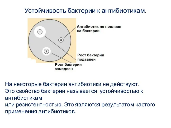 Устойчивость бактерии к антибиотикам. На некоторые бактерии антибиотики не действуют. Это