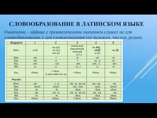 СЛОВООБРАЗОВАНИЕ В ЛАТИНСКОМ ЯЗЫКЕ Окончание – аффикс с грамматическим значением служит