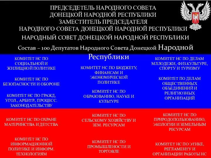 НАРОДНЫЙ СОВЕТ ДОНЕЦКОЙ НАРОДНОЙ РЕСПУБЛИКИ Состав – 100 Депутатов Народного Совета