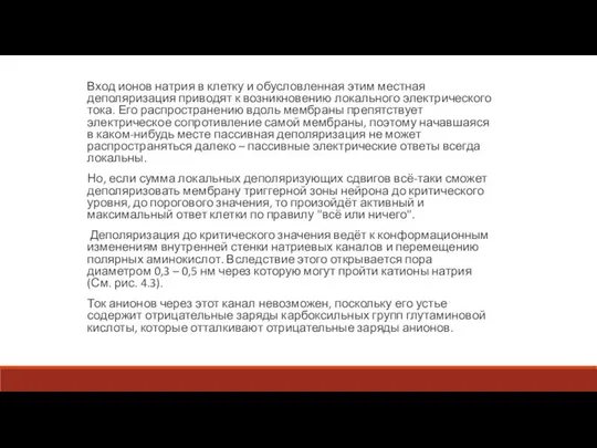 Вход ионов натрия в клетку и обусловленная этим местная деполяризация приводят