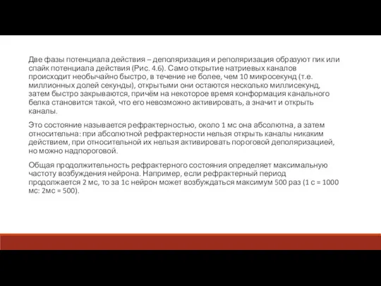 Две фазы потенциала действия – деполяризация и реполяризация образуют пик или