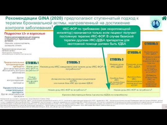 Изображение использовано с разрешения Global Initiative for Asthma (GINA). ИКС –