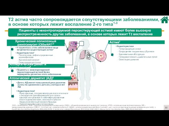 Т2 астма часто сопровождается сопутствующими заболеваниями, в основе которых лежит воспаление