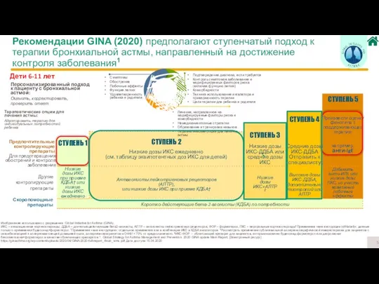 Изображение использовано с разрешения Global Initiative for Asthma (GINA). ИКС –