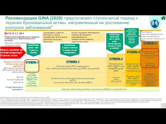 Изображение использовано с разрешения Global Initiative for Asthma (GINA). ИКС –