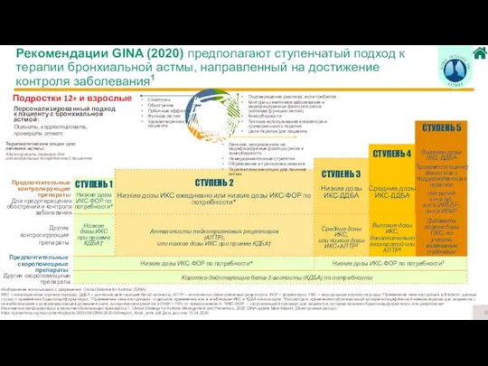 Изображение использовано с разрешения Global Initiative for Asthma (GINA). ИКС –