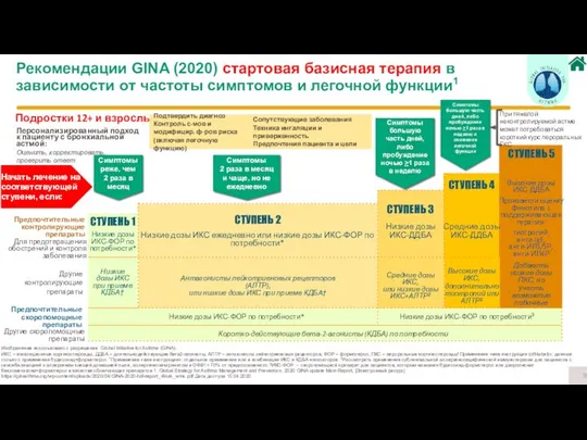 Изображение использовано с разрешения Global Initiative for Asthma (GINA). ИКС –