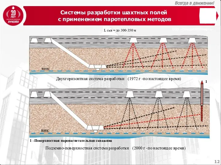 Системы разработки шахтных полей с применением паротепловых методов ООО «ПечорНИПИнефть» L