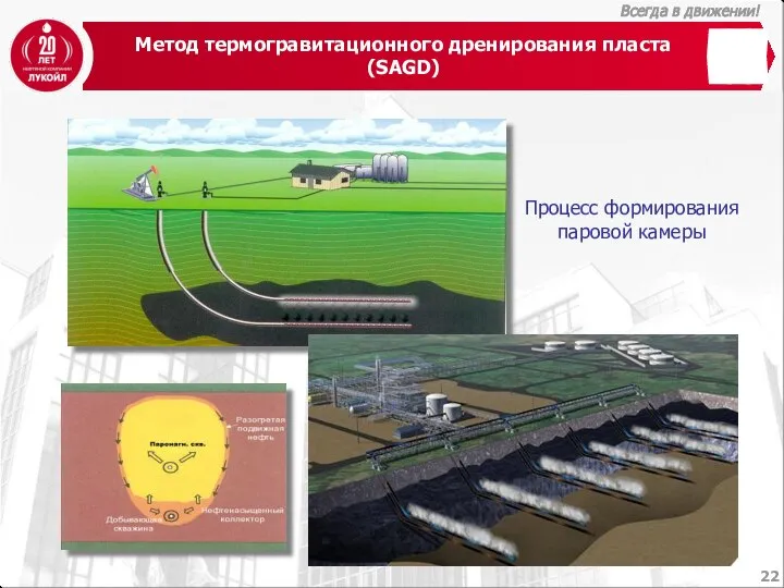 Метод термогравитационного дренирования пласта (SAGD) Процесс формирования паровой камеры