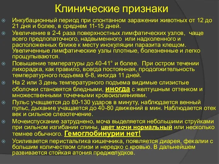 Клинические признаки Инкубационный период при спонтанном заражении животных от 12 до