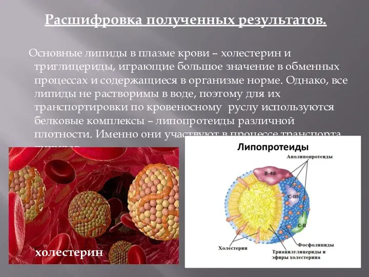 Расшифровка полученных результатов. Основные липиды в плазме крови – холестерин и