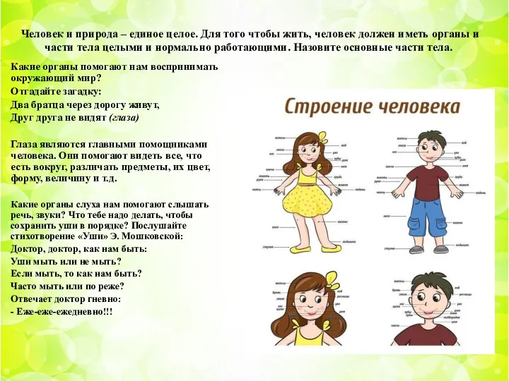 Человек и природа – единое целое. Для того чтобы жить, человек