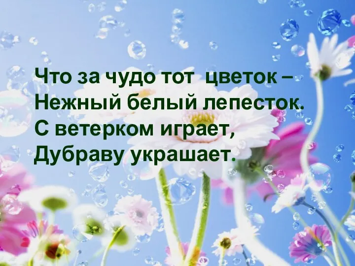 Что за чудо тот цветок – Нежный белый лепесток. С ветерком играет, Дубраву украшает.