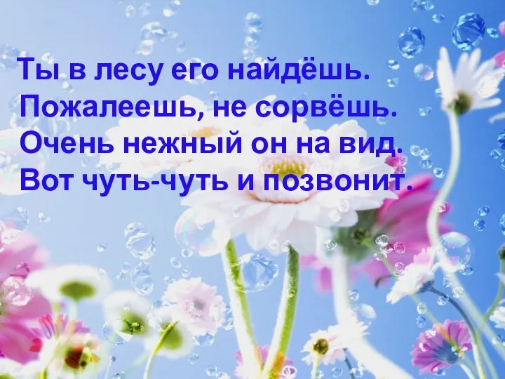 Ты в лесу его найдёшь. Пожалеешь, не сорвёшь. Очень нежный он