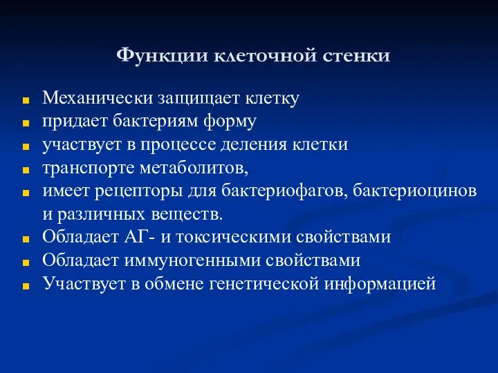 Функции клеточной стенки Механически защищает клетку придает бактериям форму участвует в