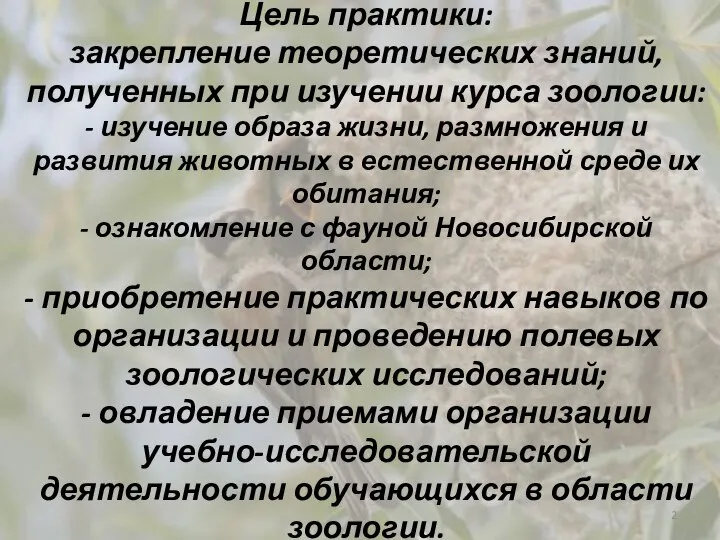 Цель практики: закрепление теоретических знаний, полученных при изучении курса зоологии: -