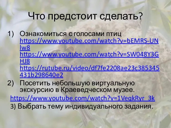 Что предстоит сделать? Ознакомиться с голосами птиц https://www.youtube.com/watch?v=bEMRS-UNlw8 https://www.youtube.com/watch?v=SW048Y3GHJ8 https://rutube.ru/video/df7fe2208ae23c385345431b298640e2 Посетить