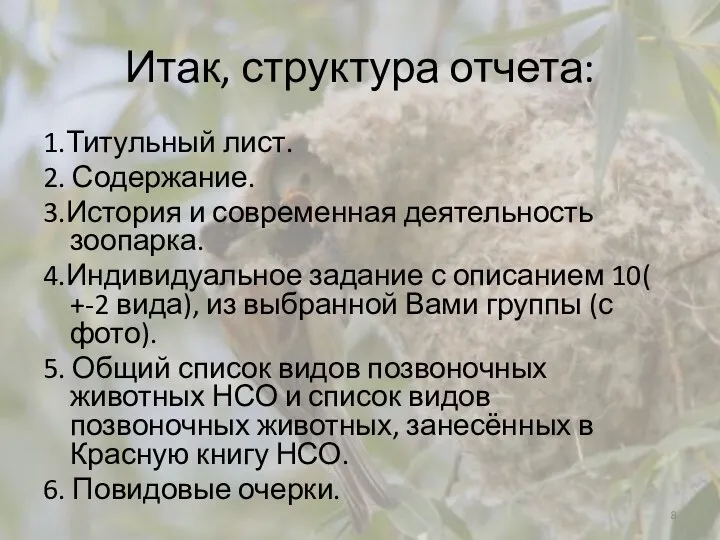 Итак, структура отчета: 1.Титульный лист. 2. Содержание. 3.История и современная деятельность