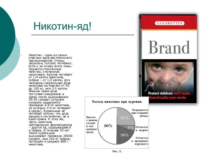 Никотин-яд! Никотин – один из самых опасных ядов растительного происхождения. Птицы