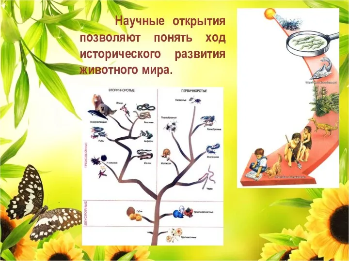 Научные открытия позволяют понять ход исторического развития животного мира.