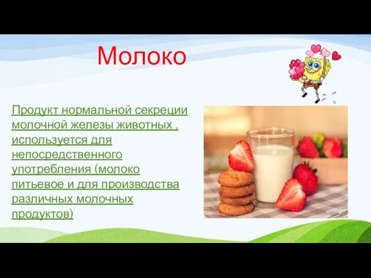 Молоко Продукт нормальной секреции молочной железы животных , используется для непосредственного