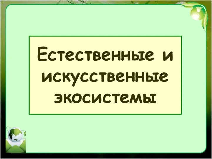 Естественные и искусственные экосистемы