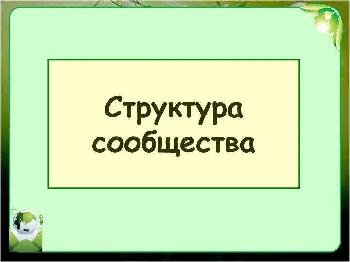 Структура сообщества