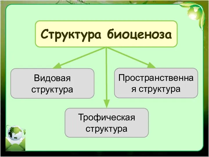 Структура биоценоза Видовая структура Пространственная структура Трофическая структура