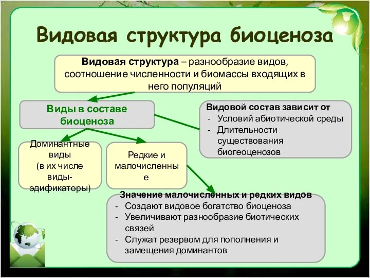 Видовая структура биоценоза Видовая структура – разнообразие видов, соотношение численности и