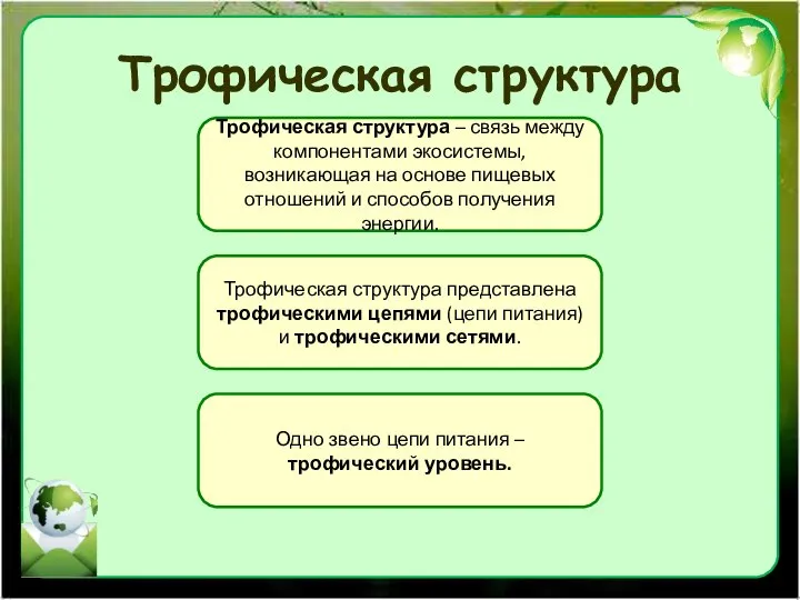 Трофическая структура Трофическая структура – связь между компонентами экосистемы, возникающая на