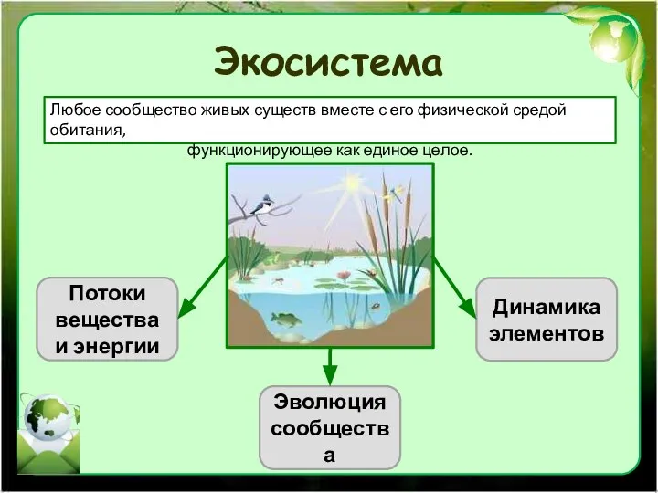 Экосистема Любое сообщество живых существ вместе с его физической средой обитания,