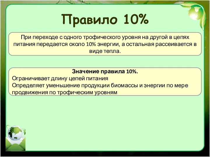 Правило 10% При переходе с одного трофического уровня на другой в