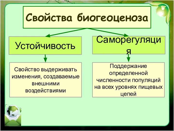 Свойства биогеоценоза Устойчивость Саморегуляция Свойство выдерживать изменения, создаваемые внешними воздействиями Поддержание