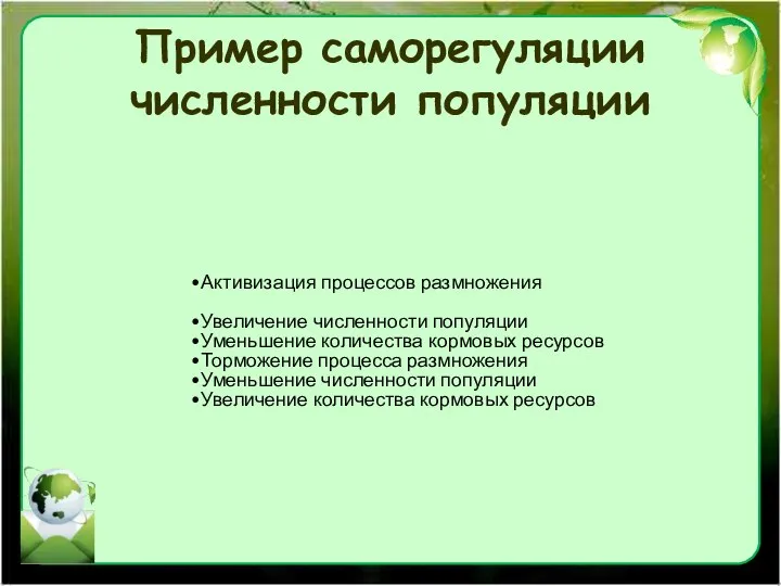 Пример саморегуляции численности популяции Активизация процессов размножения Увеличение численности популяции Уменьшение