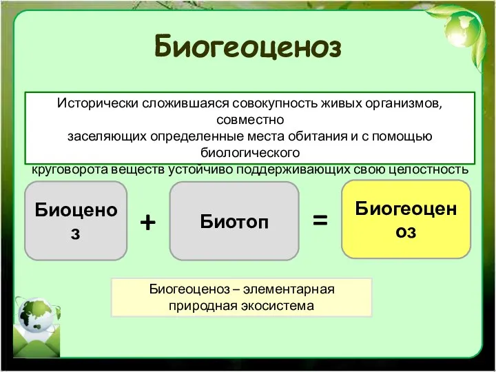 Биогеоценоз Исторически сложившаяся совокупность живых организмов, совместно заселяющих определенные места обитания