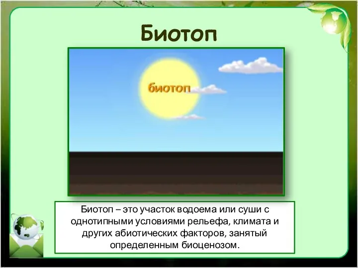 Биотоп Биотоп – это участок водоема или суши с однотипными условиями