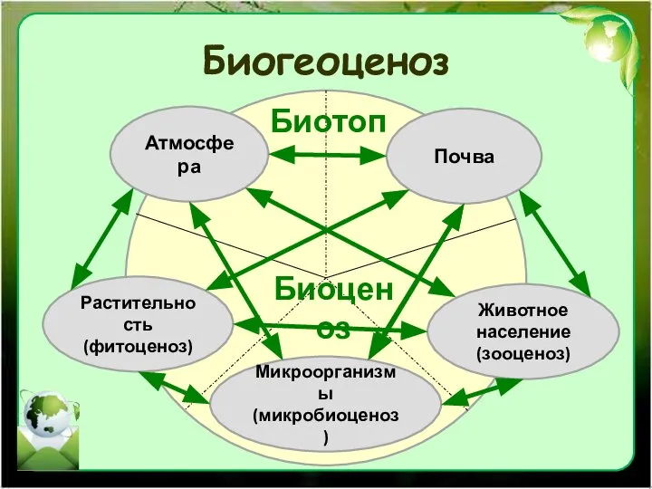 Биогеоценоз Биотоп Биоценоз Атмосфера Почва Животное население (зооценоз) Микроорганизмы (микробиоценоз) Растительность (фитоценоз)