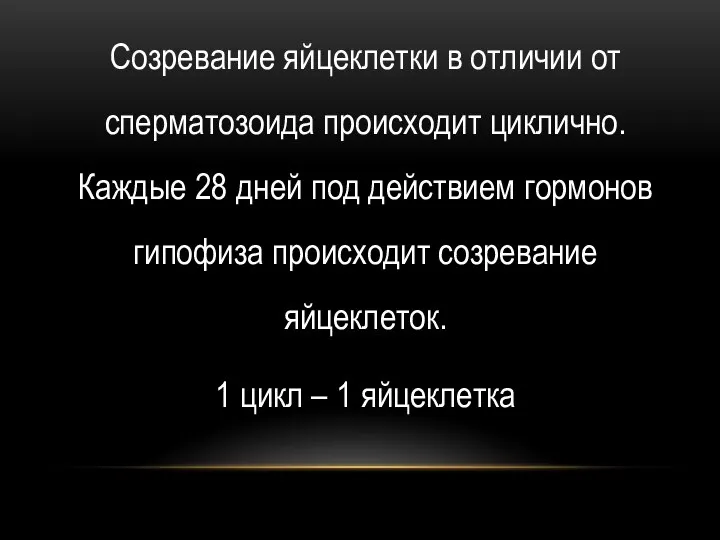 Созревание яйцеклетки в отличии от сперматозоида происходит циклично. Каждые 28 дней