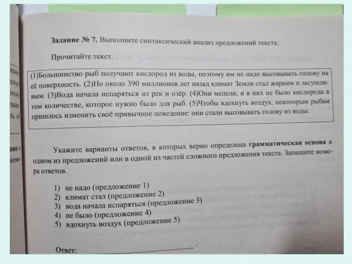 По наличию главных членов предложения делятся на : двусоставные односоставные подлежащее и сказуемое подлежащее или сказуемое