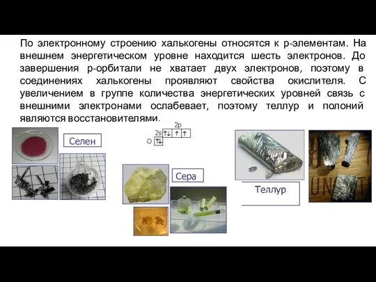 По электронному строению халькогены относятся к р-элементам. На внешнем энергетическом уровне