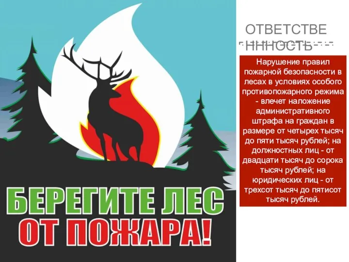 ОТВЕТСТВЕНННОСТЬ Нарушение правил пожарной безопасности в лесах в условиях особого противопожарного