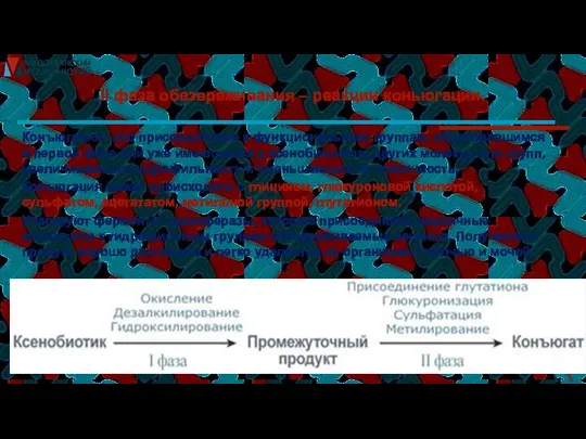 II фаза обезвреживания – реакции коньюгации. Конъюгация - это присоединение к