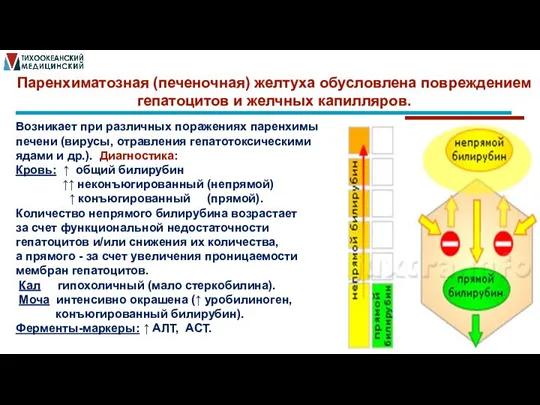 Паренхиматозная (печеночная) желтуха обусловлена повреждением гепатоцитов и желчных капилляров. Возникает при