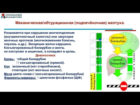 Механическая/обтурационная (подпечёночная) желтуха.. Развивается при нарушении желчеотделения (внутрипеченочный холестаз) или закупорке